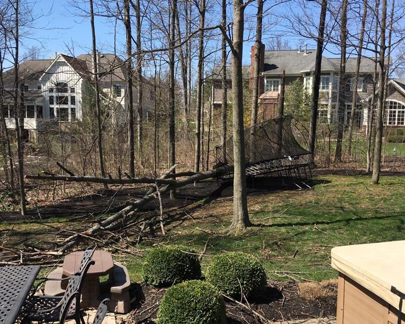 tree fallen in back yard