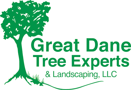 Great Dane Tree Experts & Landscaping LLC Logo