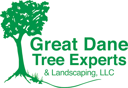 Great Dane Tree Experts & Landscaping LLC logo